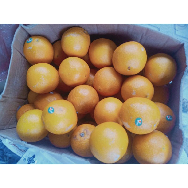 

JERUK SUNKIST NAVEL/VALENCIA PER 1 BUAH