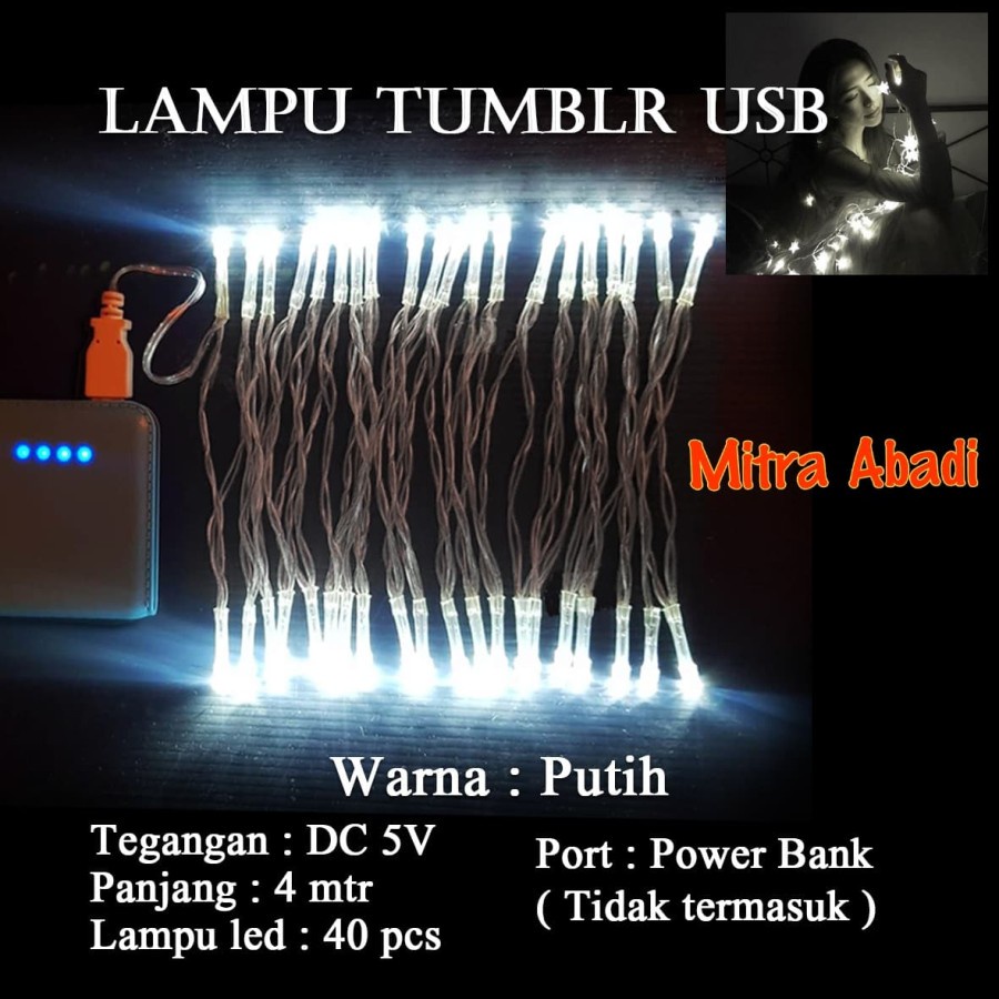 Lampu Natal LED USB DC 5V Panjang 4 Meter