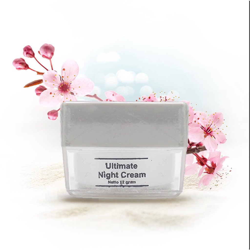 MS glow Ultimate Night Cream(cream malam ultimate by ms glow)