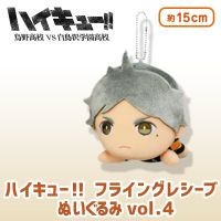 Haikyuu Nuigurumi Mascot Plush Receiver Sugawara Koushi
