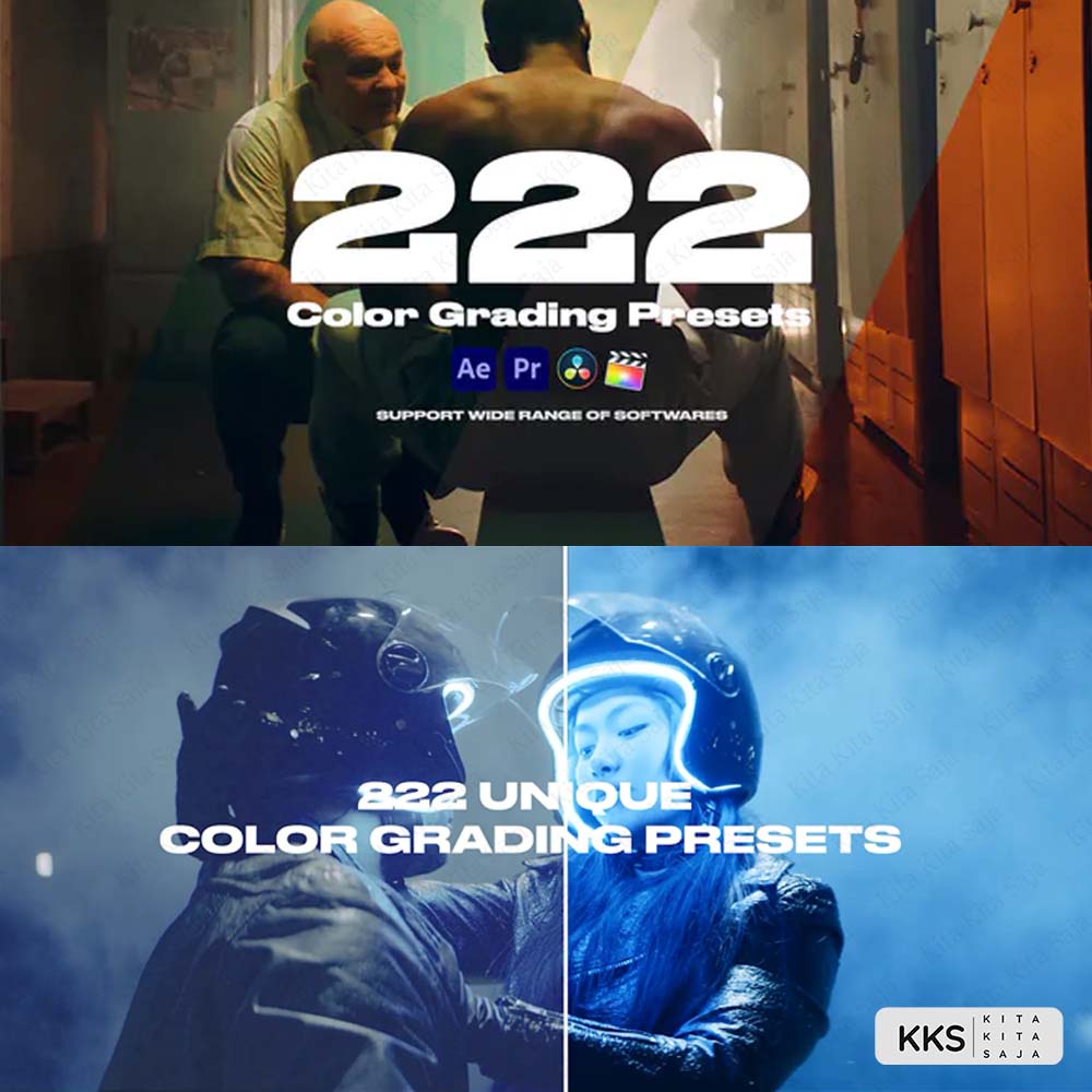(BISA VN) Colorify 222 Premium LUTs Pack Video Vlogger Youtuber untuk VN Premiere Pro Davinci Resolv