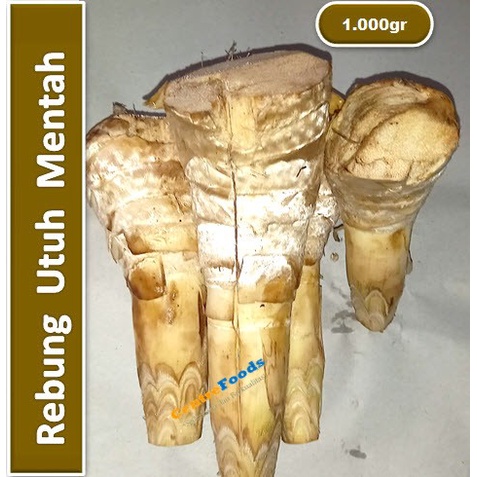 

Rebung Bambu Mentah - Tubis Mentah Utuh | 1.000gr [ Harga Per KG ]