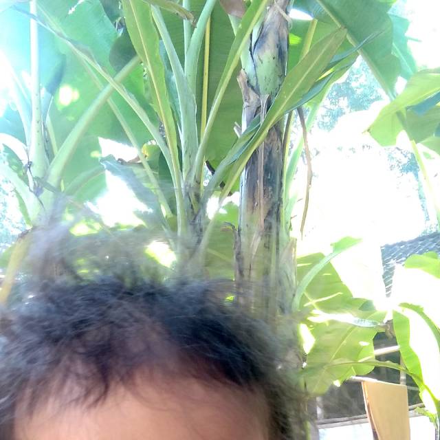 dwi200