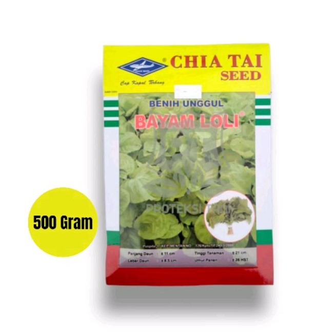 

Bayam Loli Bisi Kapal Terbang Kemasan 50 Gram +/- 750.000 Biji Chia Tai Sedd