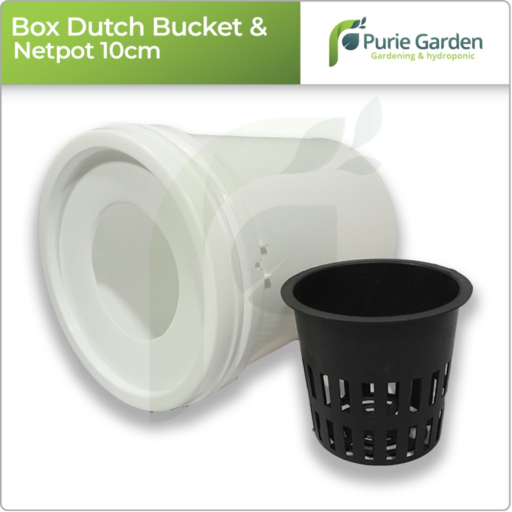 Box Hidroponik Dutch Bucket dan Netpot 10cm