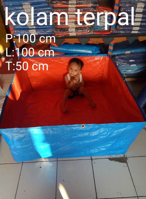 TERPAL KOLAM IKAN KOLAM LELE KOLAM MINI BAK AIR KOLAM CUPANG UK 100x100x50 tpye A5 pE KOREA
