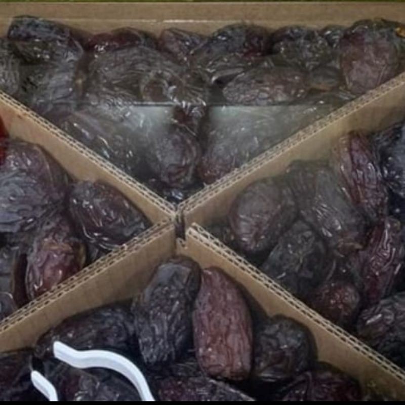 

kurma medjool palestina - medjool dates - kurma medjool premium - kurma jumbo - kurma murah