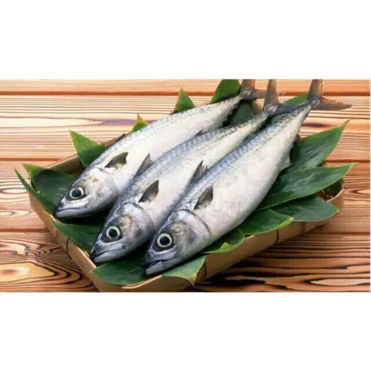 

Ikan Salem 500 Gram