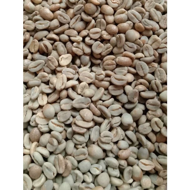 

greenbean arabika natural lactic kubangsari crop 2022