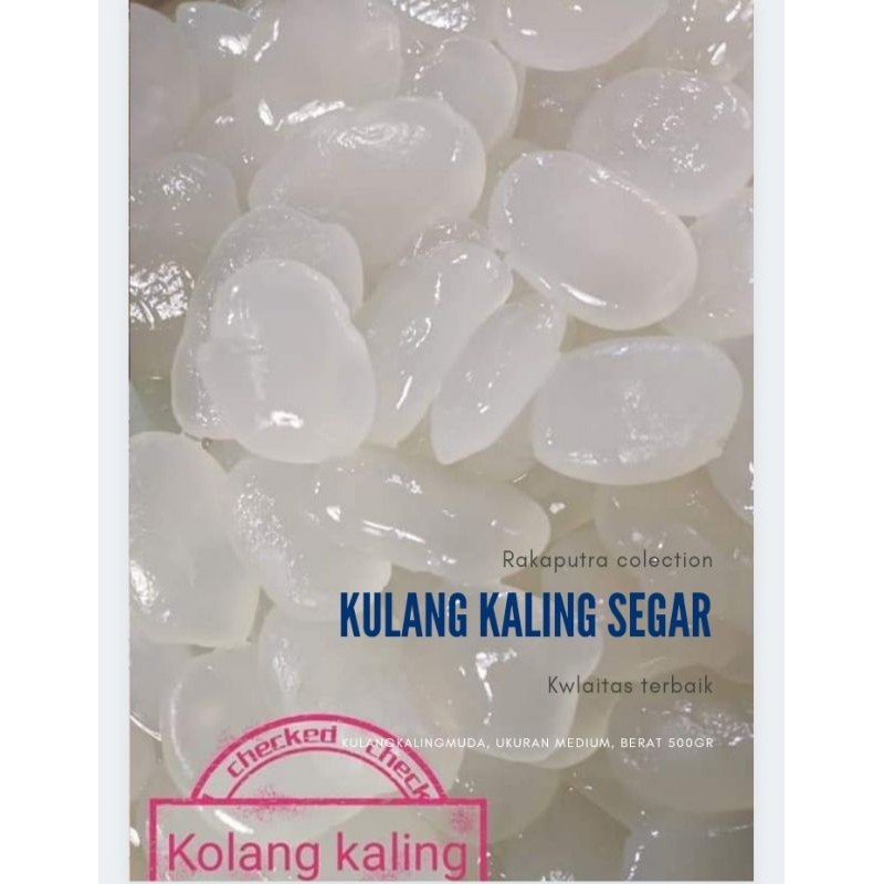 

BUAH SEGAR KULANG KALING FRESH KOLANG KALING MUDA 500GR