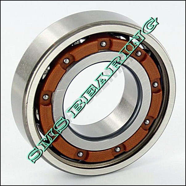 LAHER 6009 TBP63 IBC HIGH SPEED BALL BEARING / LAHER BOLA