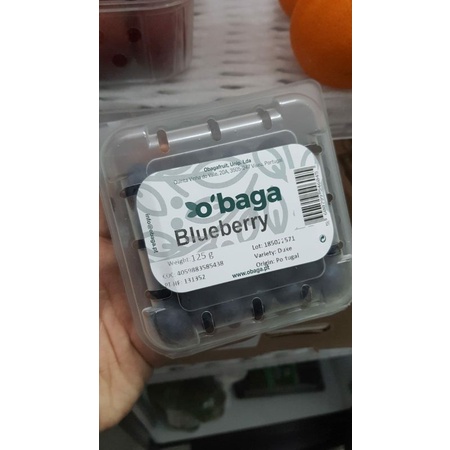 

blueberry bluberries import Portugal super 125 grm