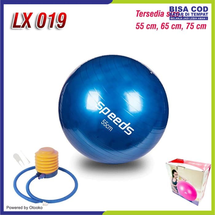 Gym Ball Gymball Fitnes Senam Bola Yoga Ball + Pompa 75CM LX019-3