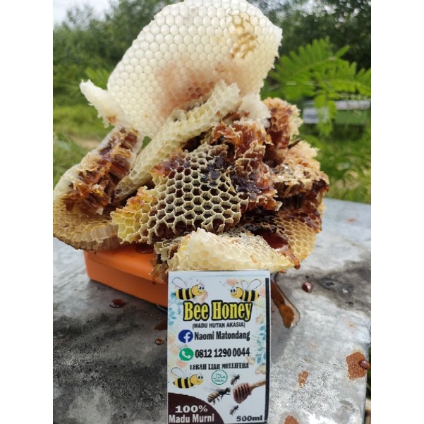 

Madu Hutan Akasia Murni