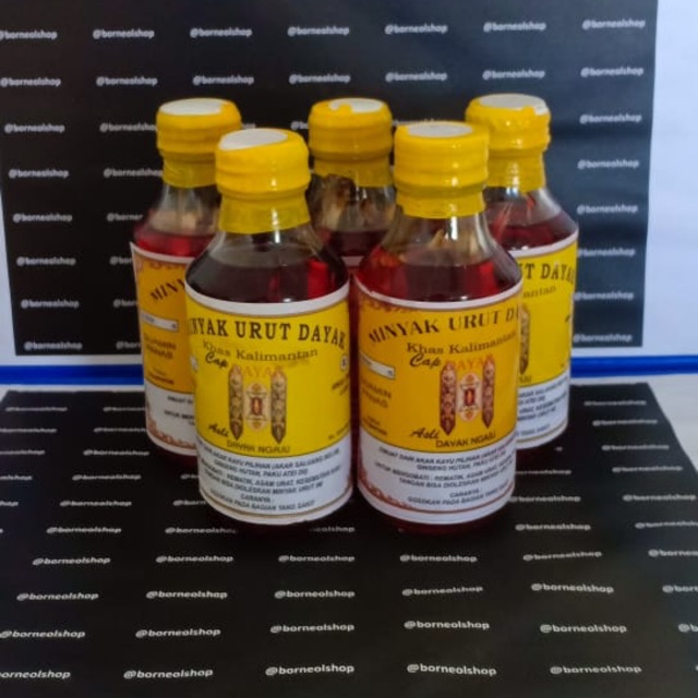 MINYAK URUT ASLI DAYAK NGAJU