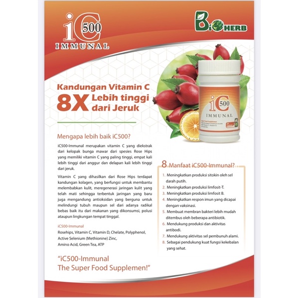 iC 500 Immunal - Vitamin C 500 mg