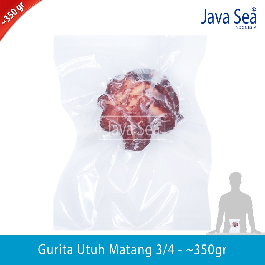 

JAVA SEA Gurita Utuh sudah matang 3/4 pack 350gr