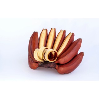 BIBIT UNGGUL !!!, Jual Bibit Pisang Susu Merah, Jual Bibit Pisang