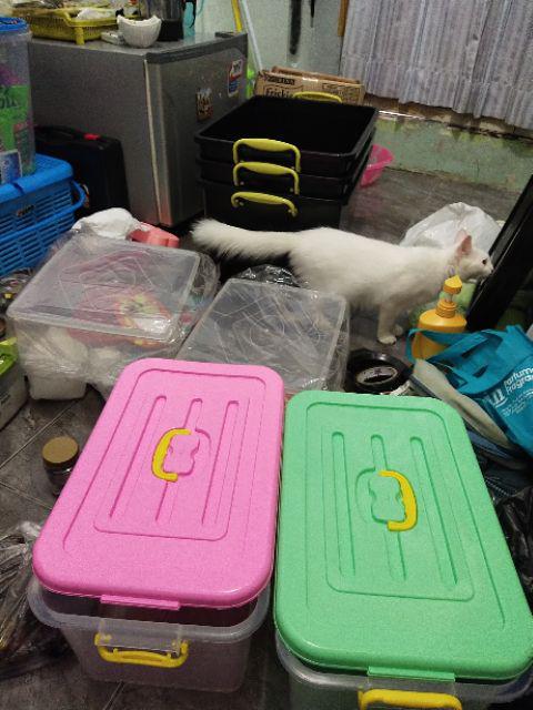 Box Donat Jumbo / Tempat Kue Donat Jumbo