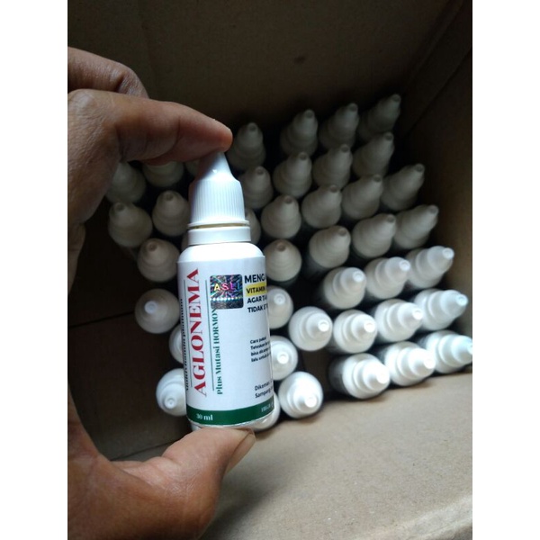 vitamin platinum aglonema