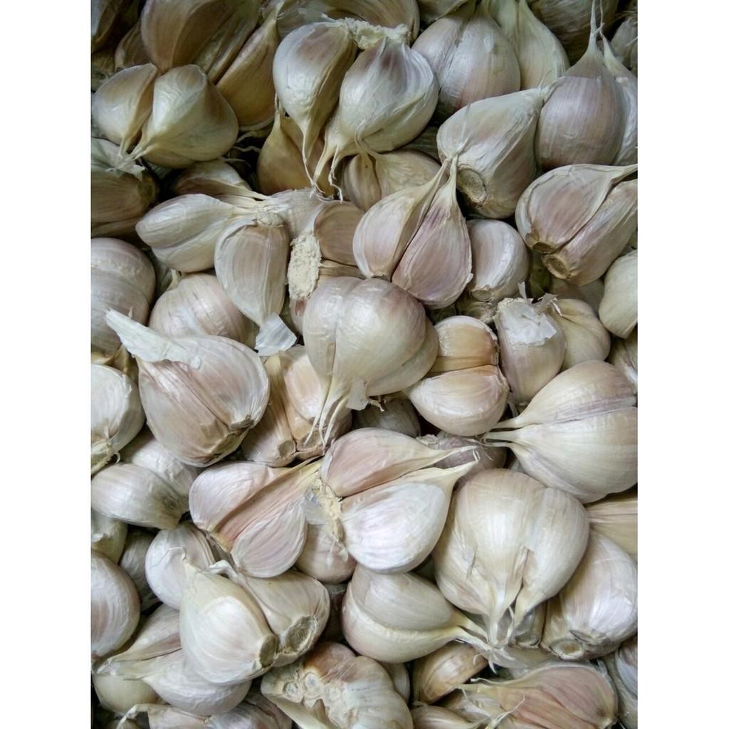 Bawang putih kating 250 gram