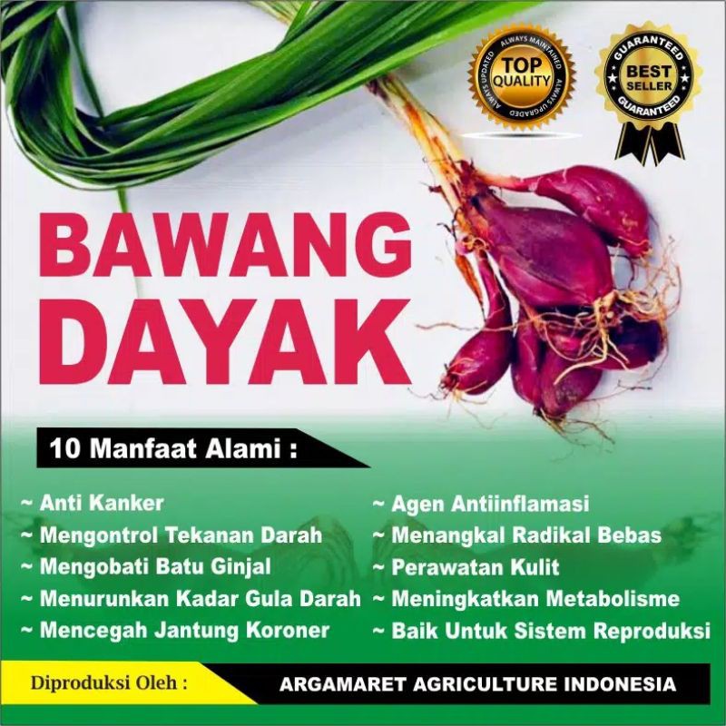 

Bawang Dayak Asli Herbal