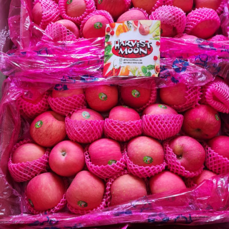 

Korzaln Apel Fuji Import Fres Bandung