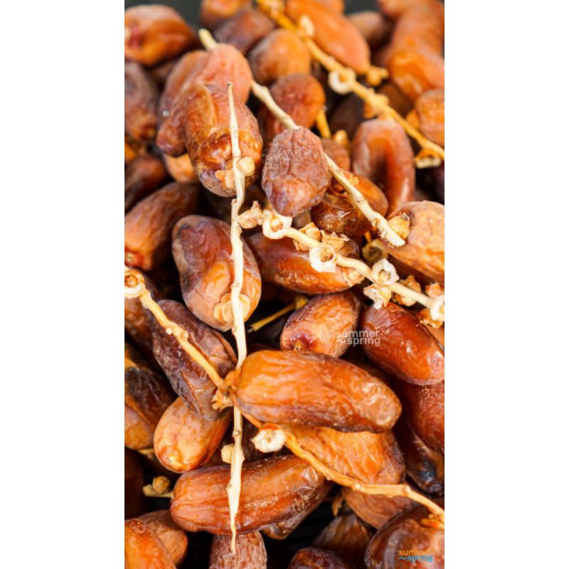 

KURMA TANISIA TANGKAI ( kering,lembut,renya dan manis)