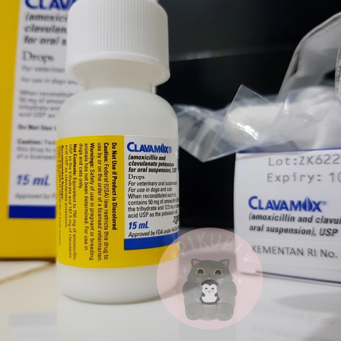TERBARU Clavamox Drops Antibiotik Kucing Anjing
