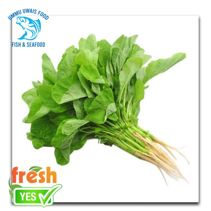 

Sayur Bayam Segar - 1 Ikat
