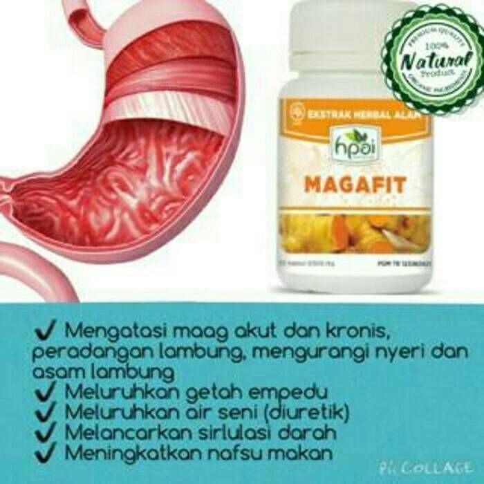 Magafit obat herbal maag akut kronis hpai