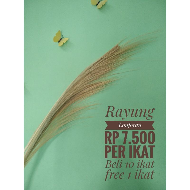 Rayung Lonjor Rayung Kering Pampas Lokal Dekorasi Foto Properti Foto Bunga Kering