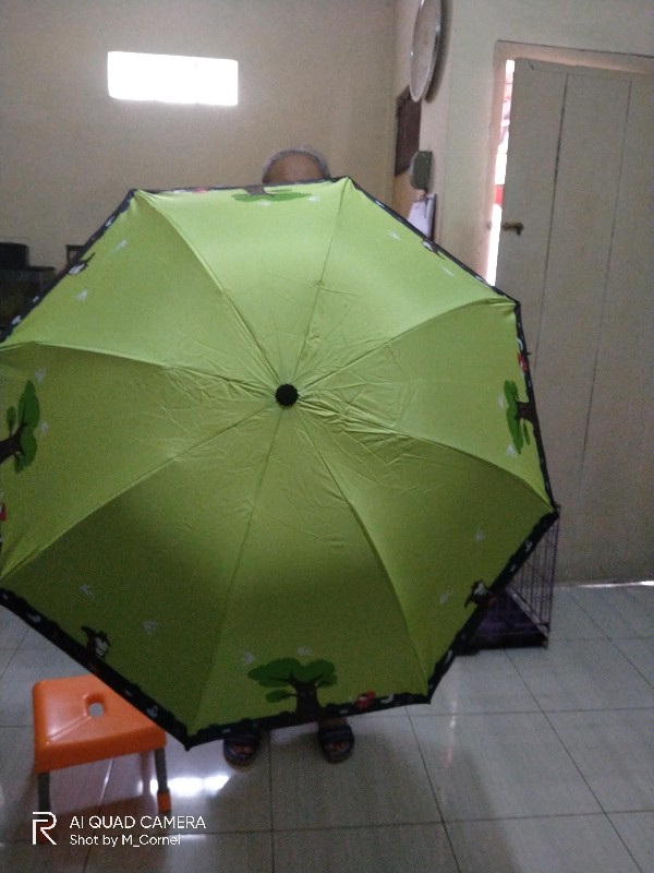 Payung Lpt 4 Fancy Motif Little Red Riding Hood Anti Uv