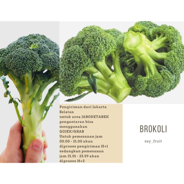 

Brokoli / Sayur Brokoli Segar / Broccoli