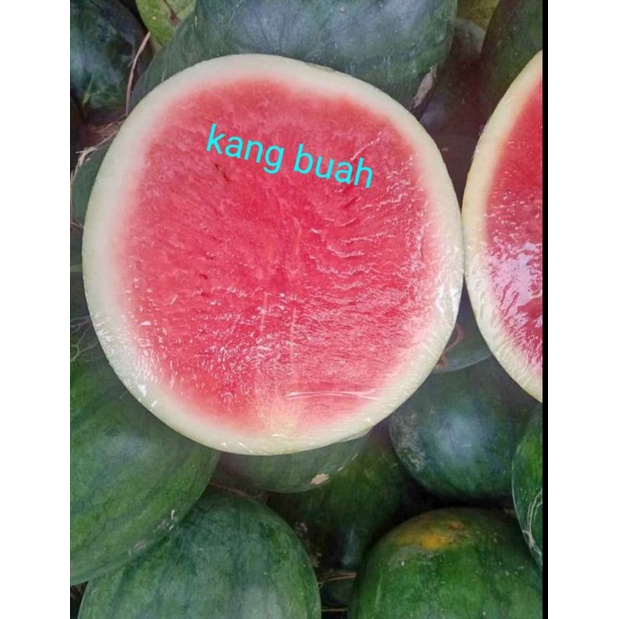 

Semangka non biji segar/fress/dominan merah