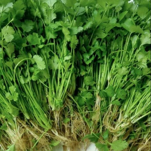 

Daun Wansui/Daun ketumbar 100 gram