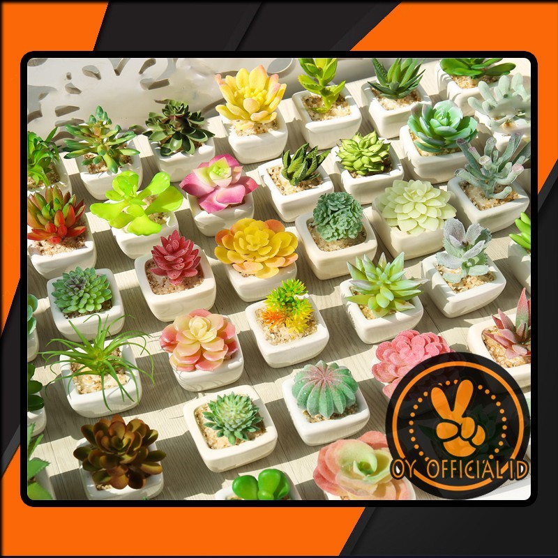 Skulen Kaktus Plastik Set Pot Keramik Bunga Sekulen Cactus Skulen Kaktus Plastik Set Pot Keramik Bunga Sekulen Cactus