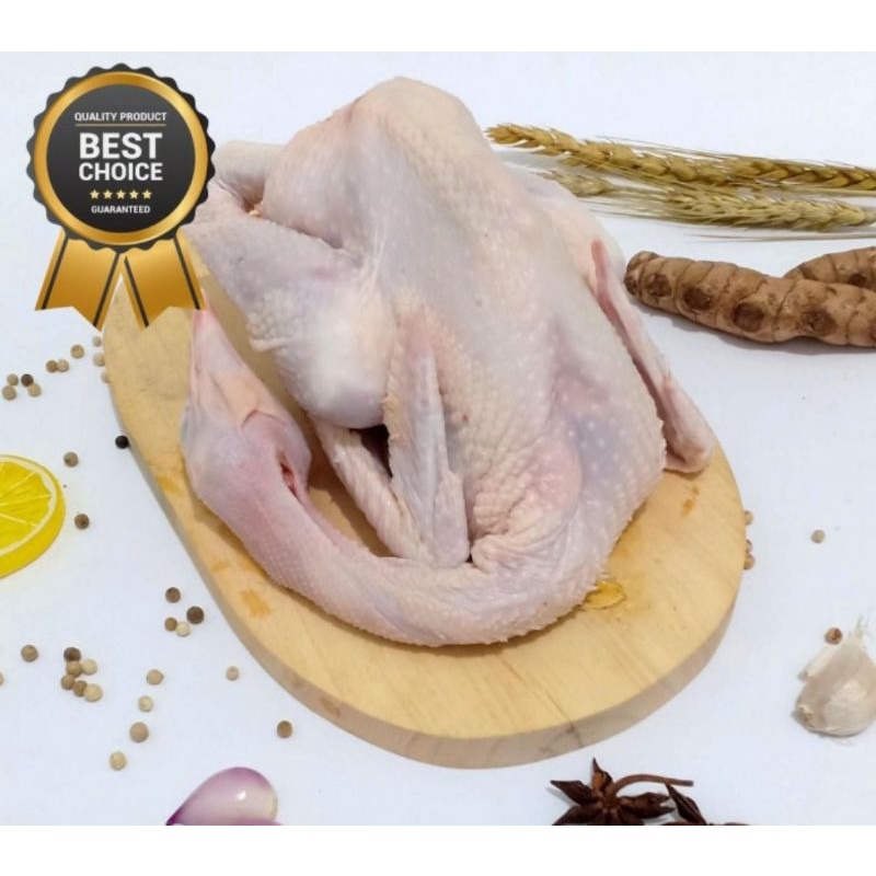 

Ayam kampung organik 800 - 900 gr lactofarm / Lacto Farm