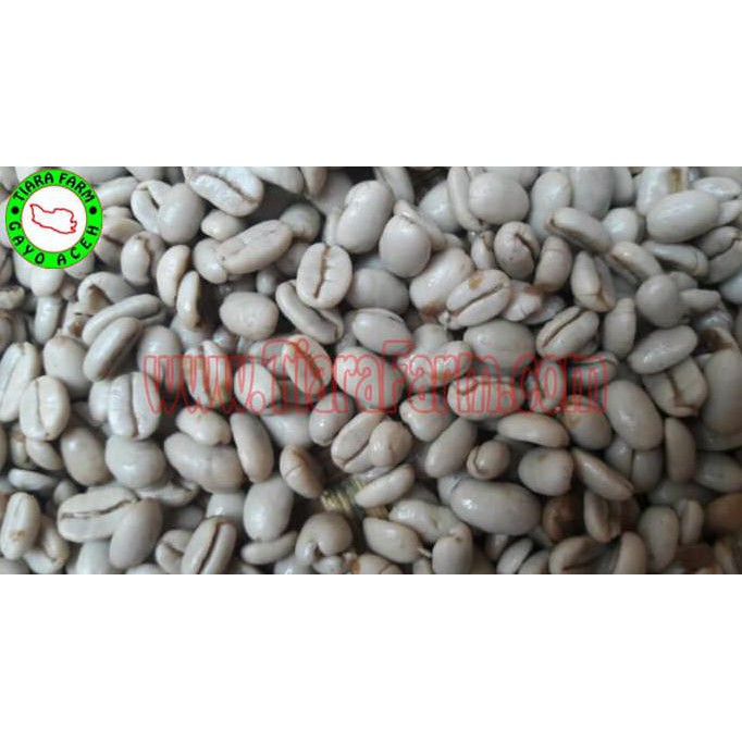 

Green Coffee Arabika Gayo 200 gram - Kopi Hijau - Arabica Gayo