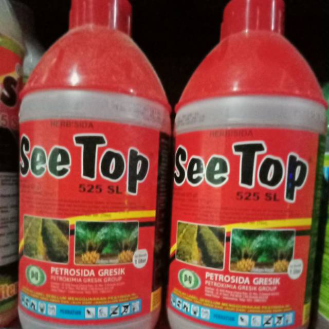 SEE TOP, BOOM UP Herbisida racun rumput