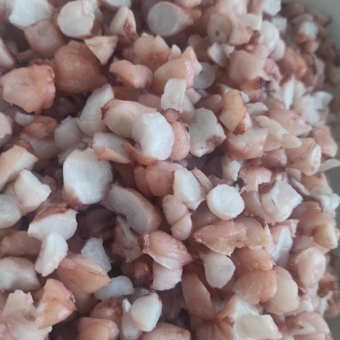 

Gurita Daging 1Kg Jakarta Frozen Octopus Murah Termurah