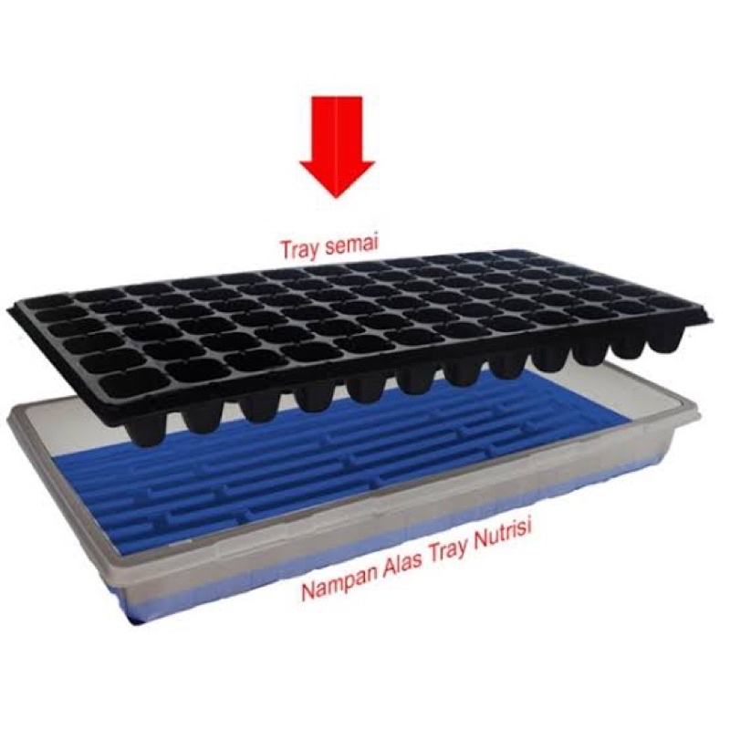 Nampan Alas Tray Semai Traypot Biji Benih Nampan Baki Seedling Tray