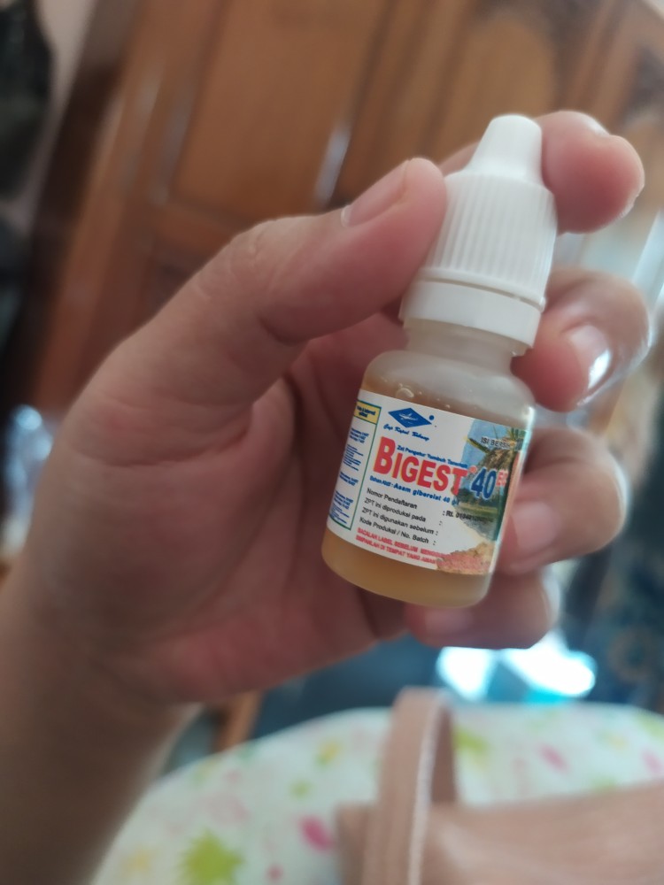 Bigest 40 Ec 10 Ml Zat Pengatur Tumbuh