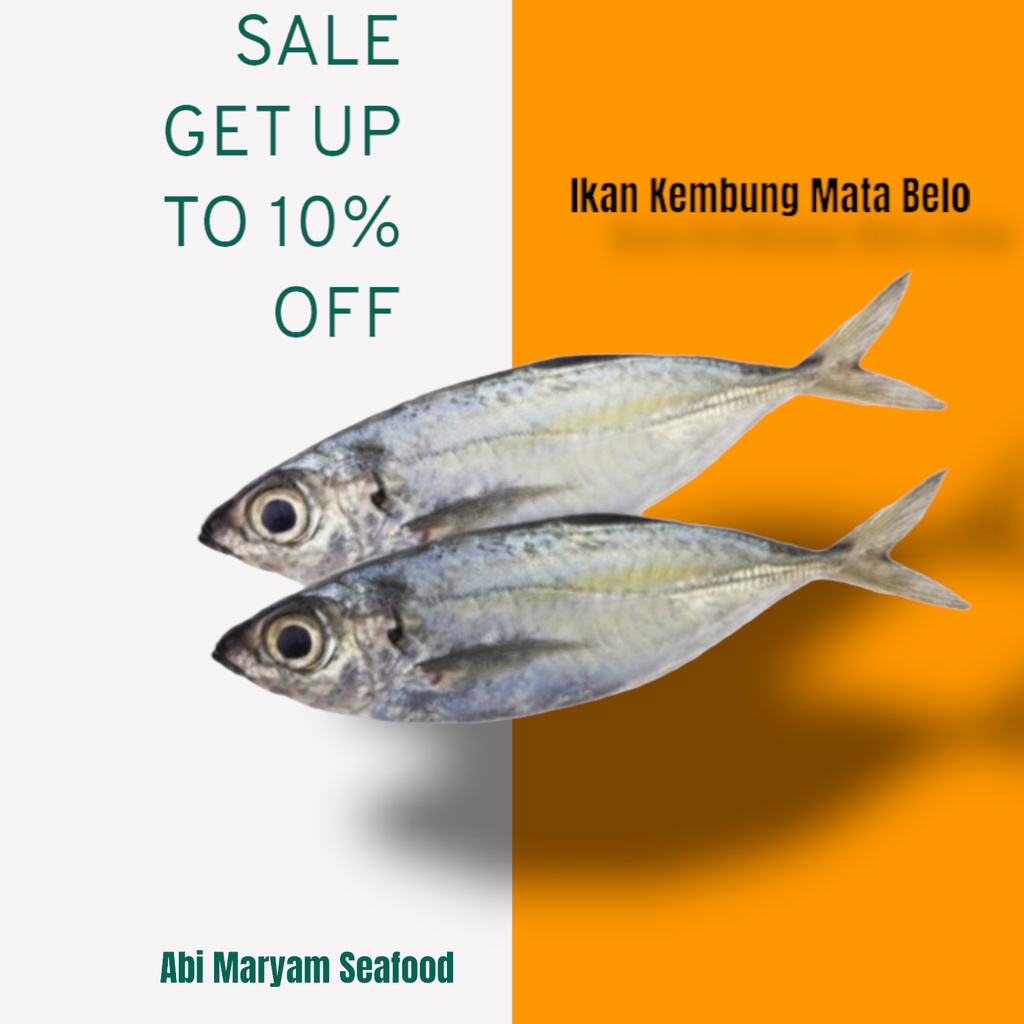 

Ikan Kembung Mata Belo Fresh Berkualitas 1kg