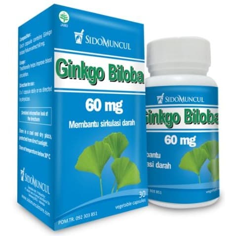 GINKGO BILOBA VITAMIN DAYA INGAT VERTIGO GINKO BILOBA GINGKO BILOBA