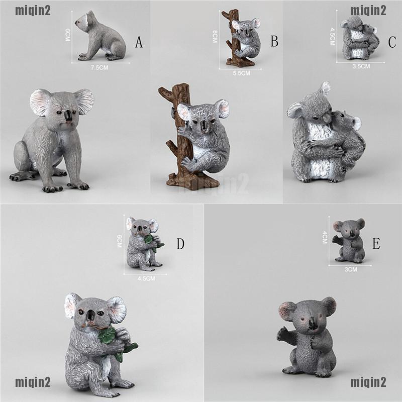 13++ Contoh gambar hewan koala new