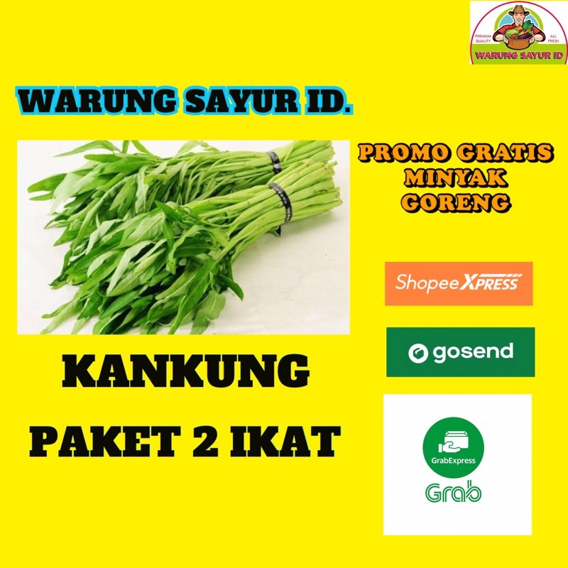 

KANKUNG TAMPA AKAR 2 IKAT
