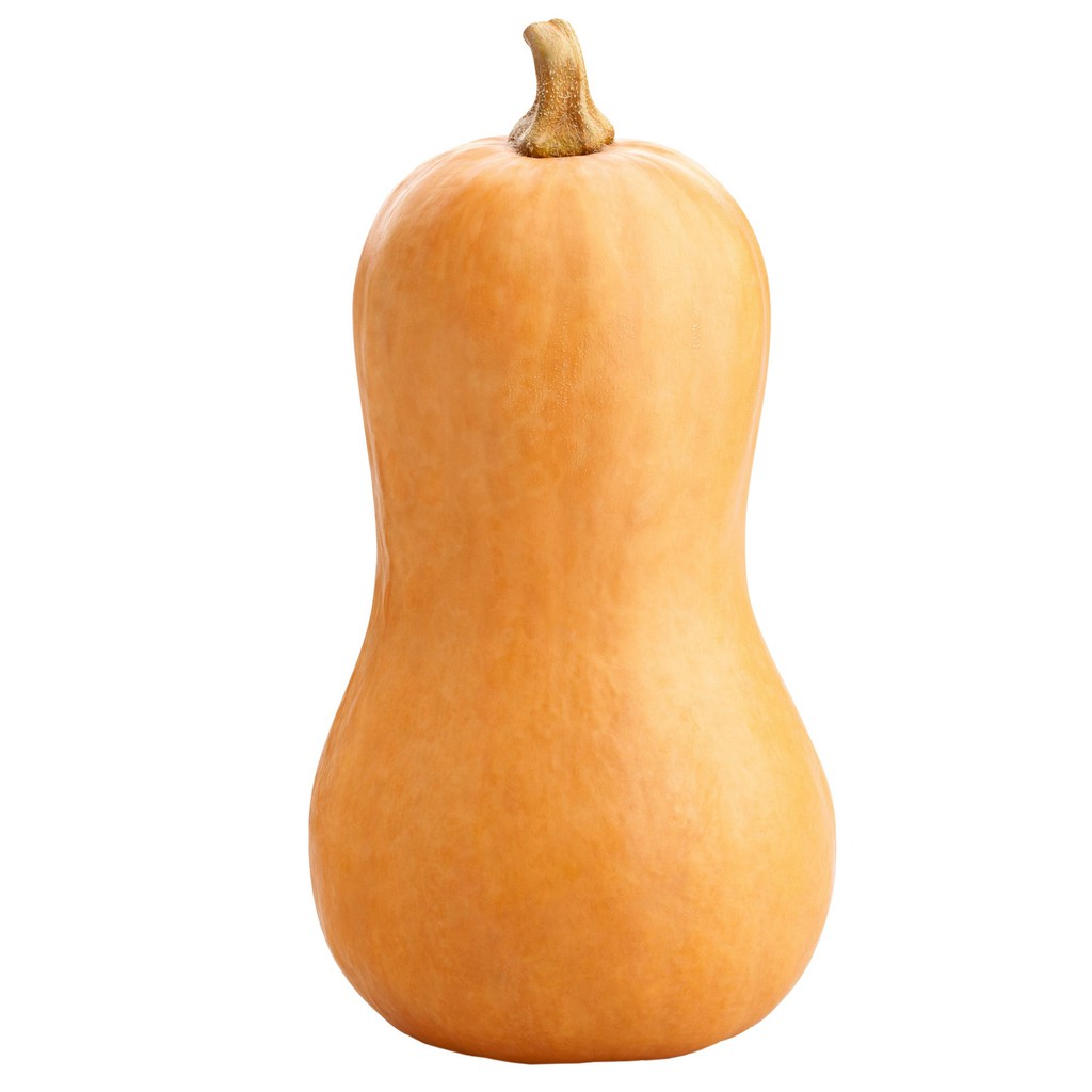 

Butternut Pumkin 500-700gr Sayuran Organik