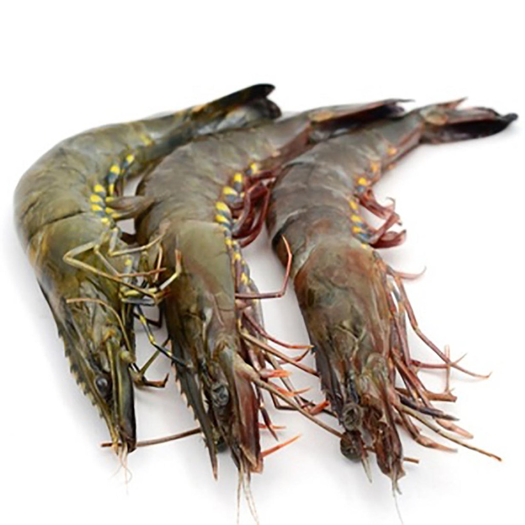 

Udang putih segar 250gram