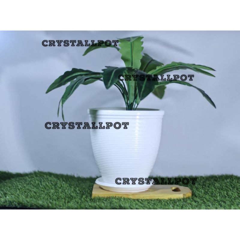 pot bunga tanaman lebah tinggi warna putih + tatakan putih - nkt cycas guci 21cm